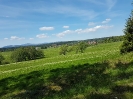 Traingslager-im-Harz_58